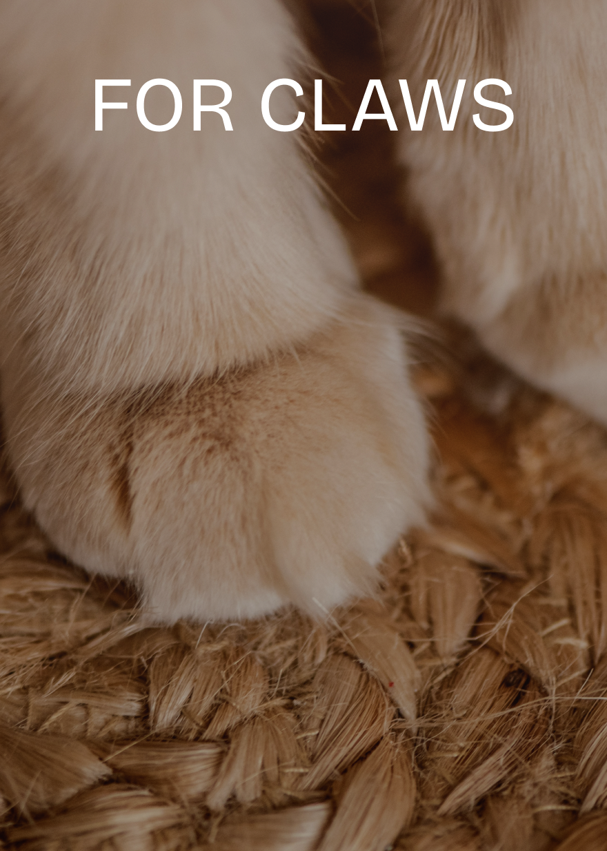 For Claws - Cat