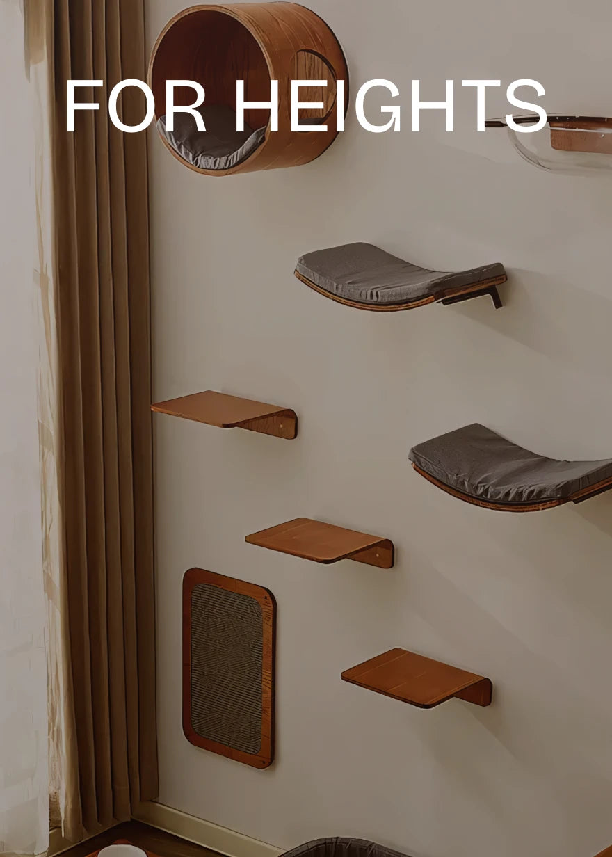 For Heights - Cat