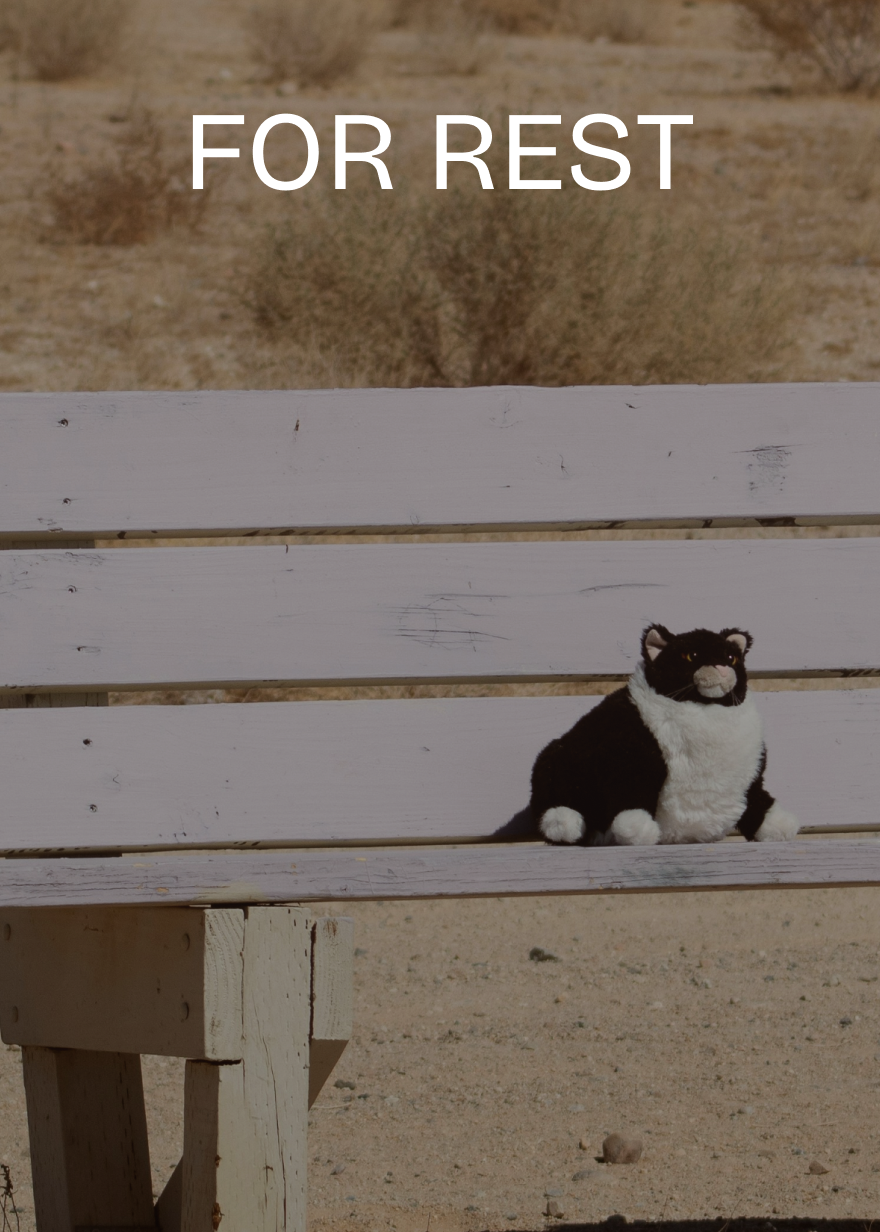 For Rest - Cat