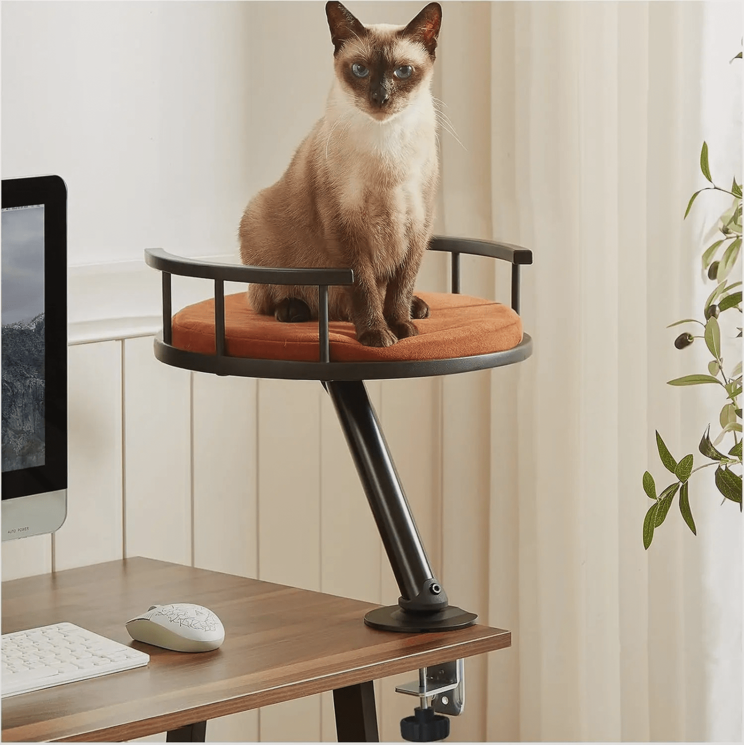 Cat Nest Desk - Desk nest | Buy at Catomi