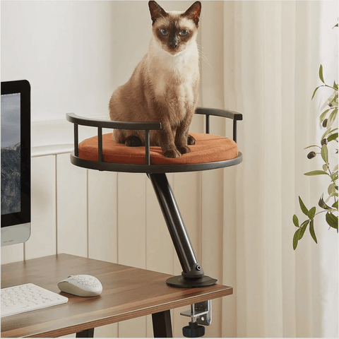 Cat Nest Desk - Desk nest | Buy at Catomi