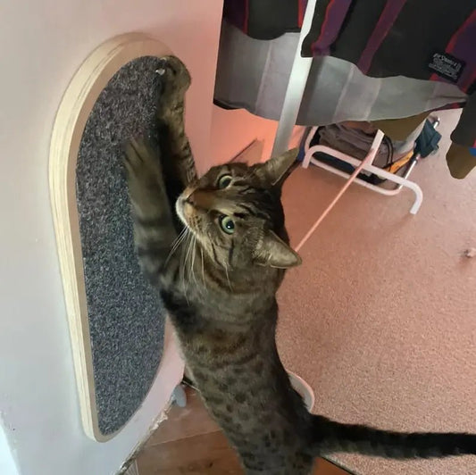 Cat Scratching Board Vertical Freestanding Cat Scratcher Upright for Like to Stretch Real Wood Furniture for Cats - Scratcher | Buy at Cat