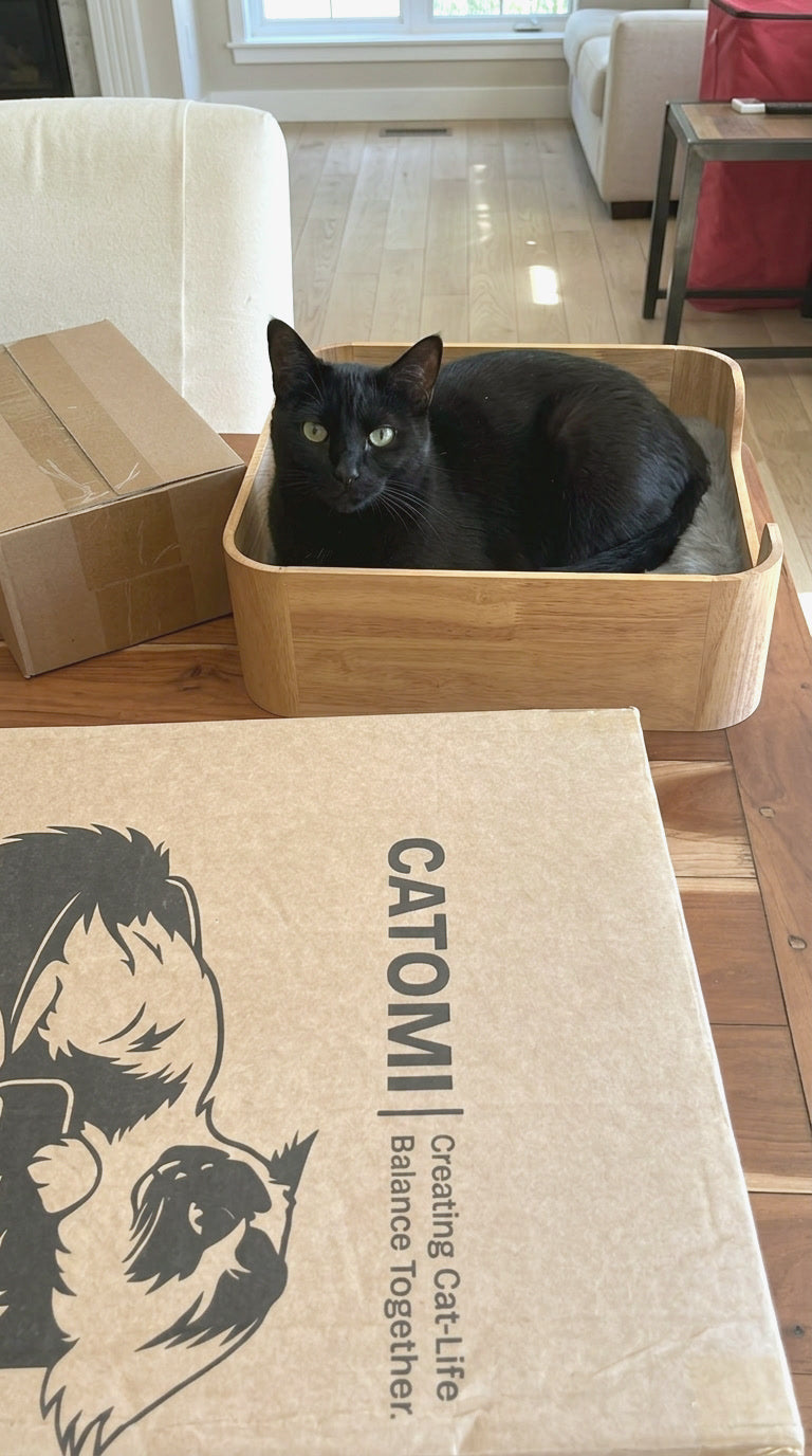 Black cat lying in the Catomi Desk Cat Bed in Natural on a table, next to the Catomi box it arrived in