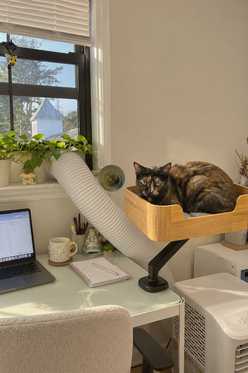 Tortoiseshell cat curled up in the Catomi Desk Cat Bed in Natural, clamped to a desk by a sunny window