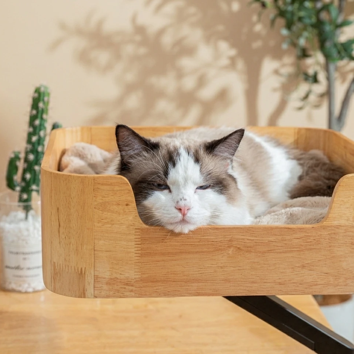 Ragdoll cat resting its chin on the front of the Catomi cat bed, eyes half closed