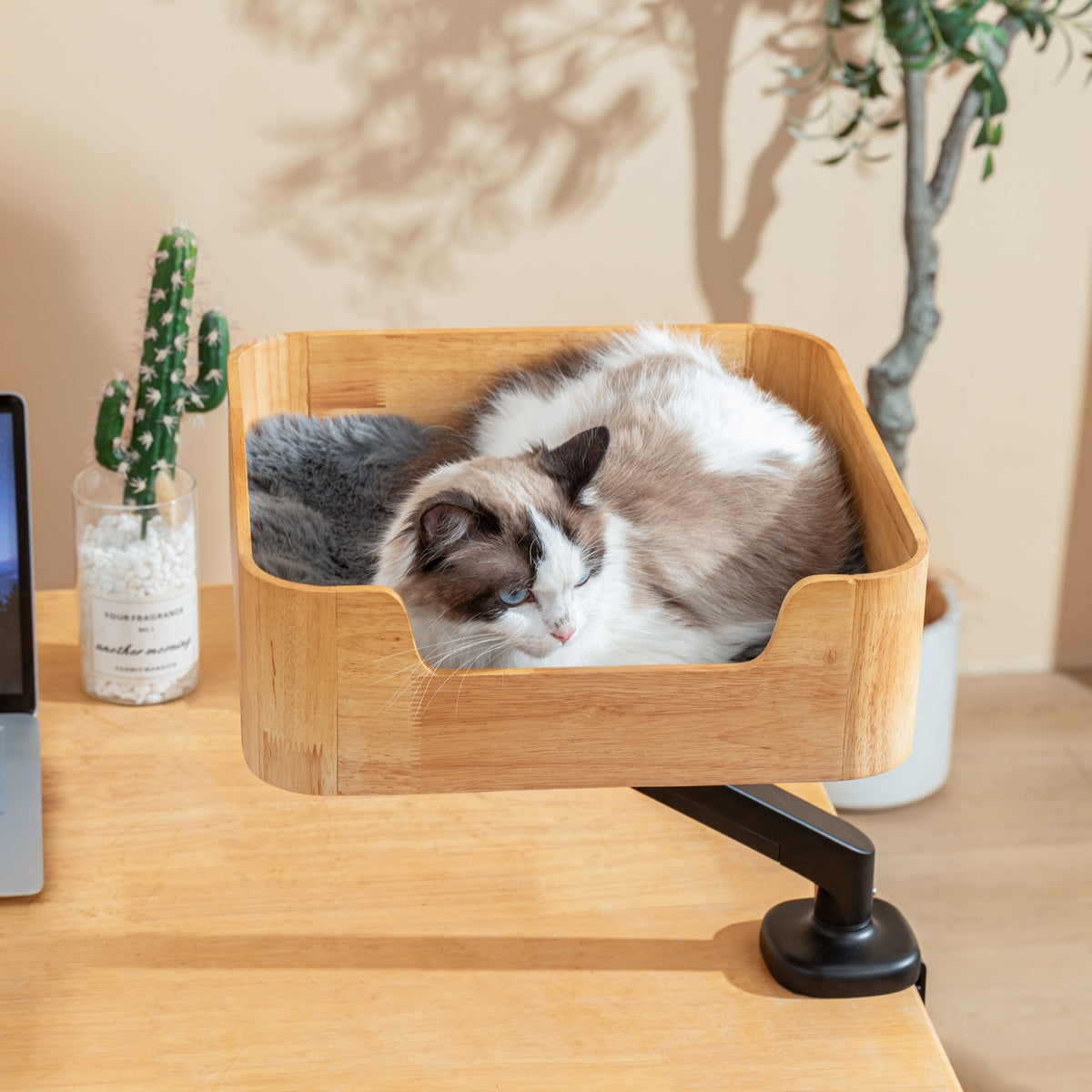 Ragdoll cat dozing in the Catomi desk cat bed in Natural, clamped to a desk by a plant