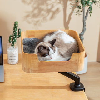 Ragdoll cat dozing in the Catomi desk cat bed in Natural, clamped to a desk by a plant