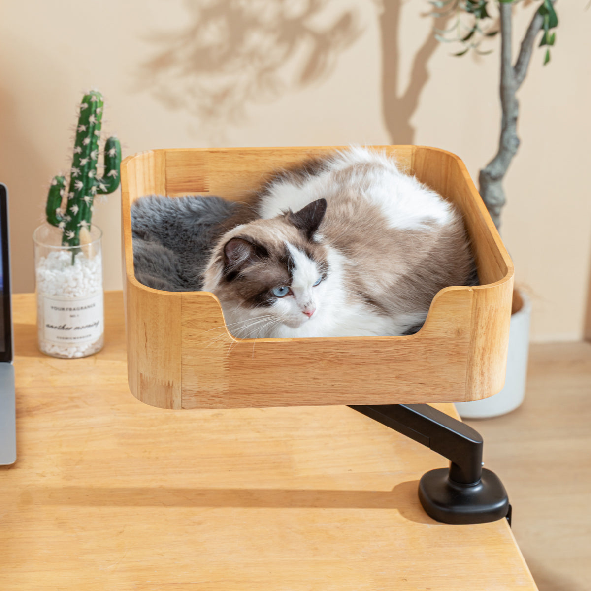 Ragdoll cat with blue eyes curled up in the Catomi desk cat bed in Natural on a desk