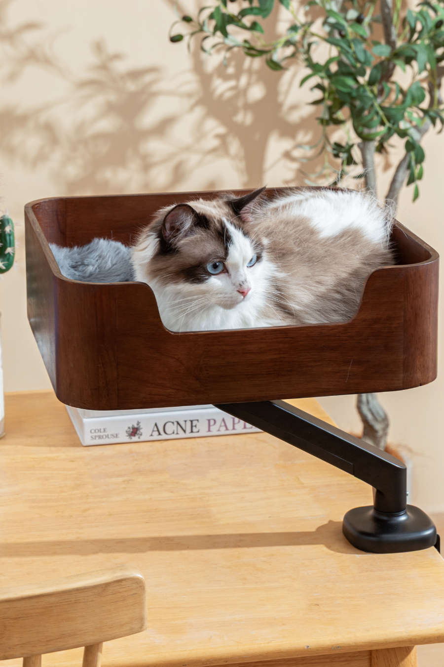 Ragdoll cat in the Catomi desk cat bed in Walnut, turned at an angle on its arm