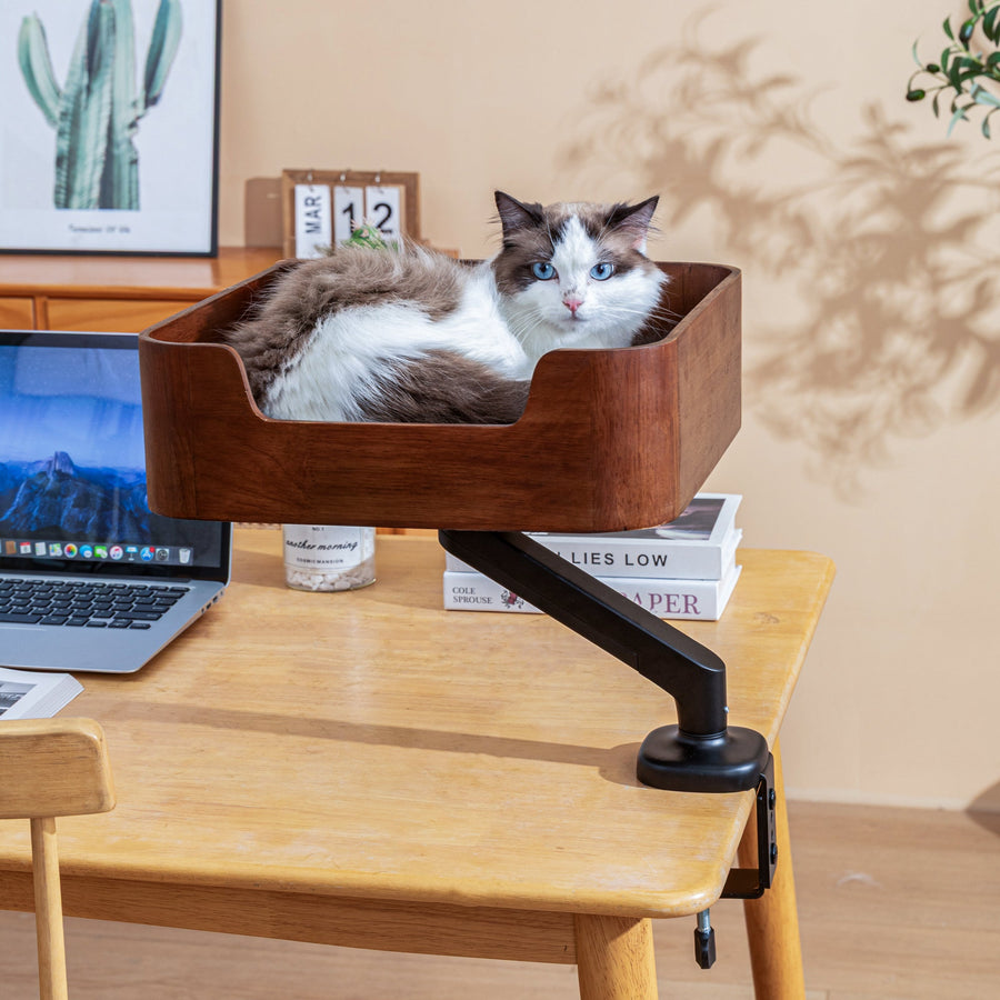 Cushion Included