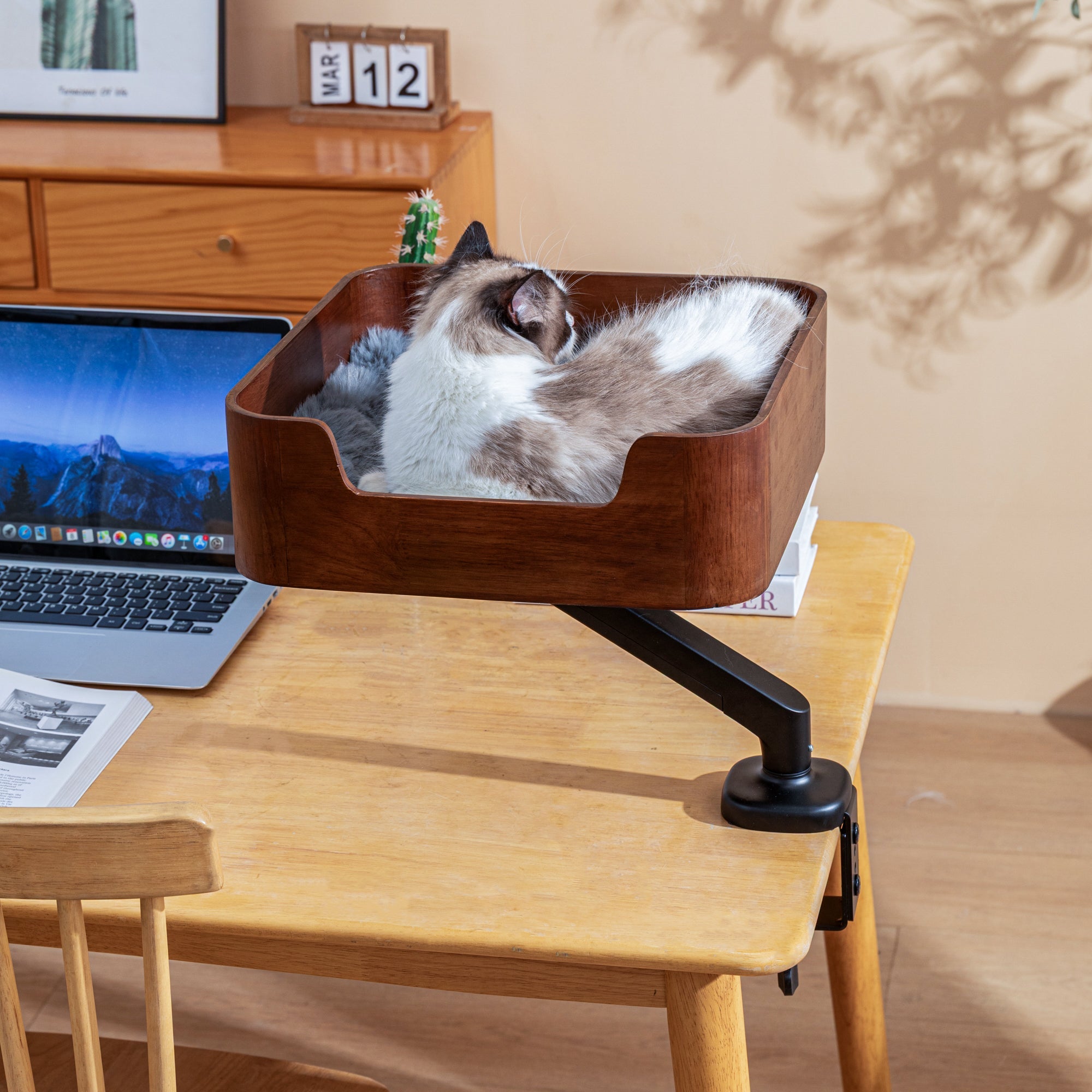 Cylindrical Cat Bed - Pet Beds | Buy at Catomi