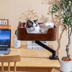 Cylindrical Cat Bed - Pet Beds | Buy at Catomi